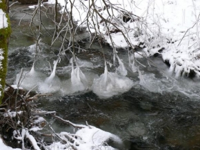 Josef Švestka - Větve pokryté ledem