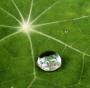 Raindrop