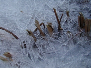 Kouzlení zimy - Mozaika z ledu