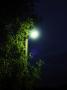 Lampa