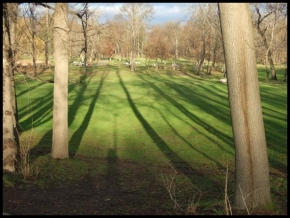 Stromy - Překročit svůj stín