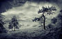 Zobor under Winter