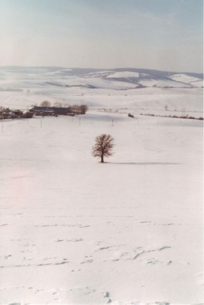 Kouzlení zimy - Samotář
