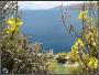 Jezero Titicaca