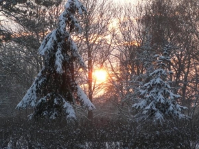 Královna zima - Zimní západ slunce