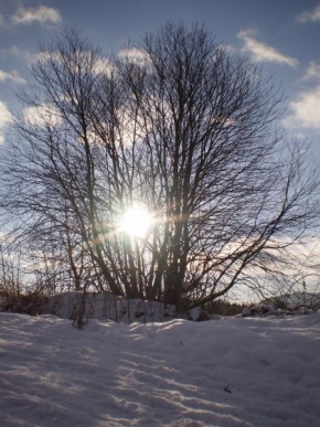 Královna zima - Zimné slnko