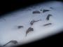 Snow way
