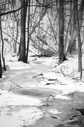 Královna zima - Lesní potok