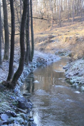 Královna zima - Klidný potok