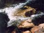 David Chadima - Rozbouřený živel