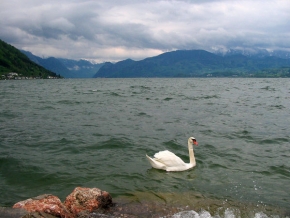 Má nejkrásnější krajina - Labutí jezero