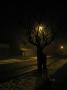 Strom