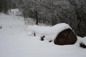 Luděk Klíma - Trocha sněhu.