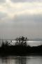 Jezero Balaton