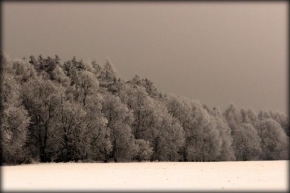 Královna zima - Okraj lesa