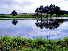 Krásy krajiny - Zdejší rybník