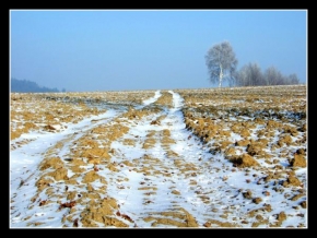 Královna zima - Zimni cesta 1
