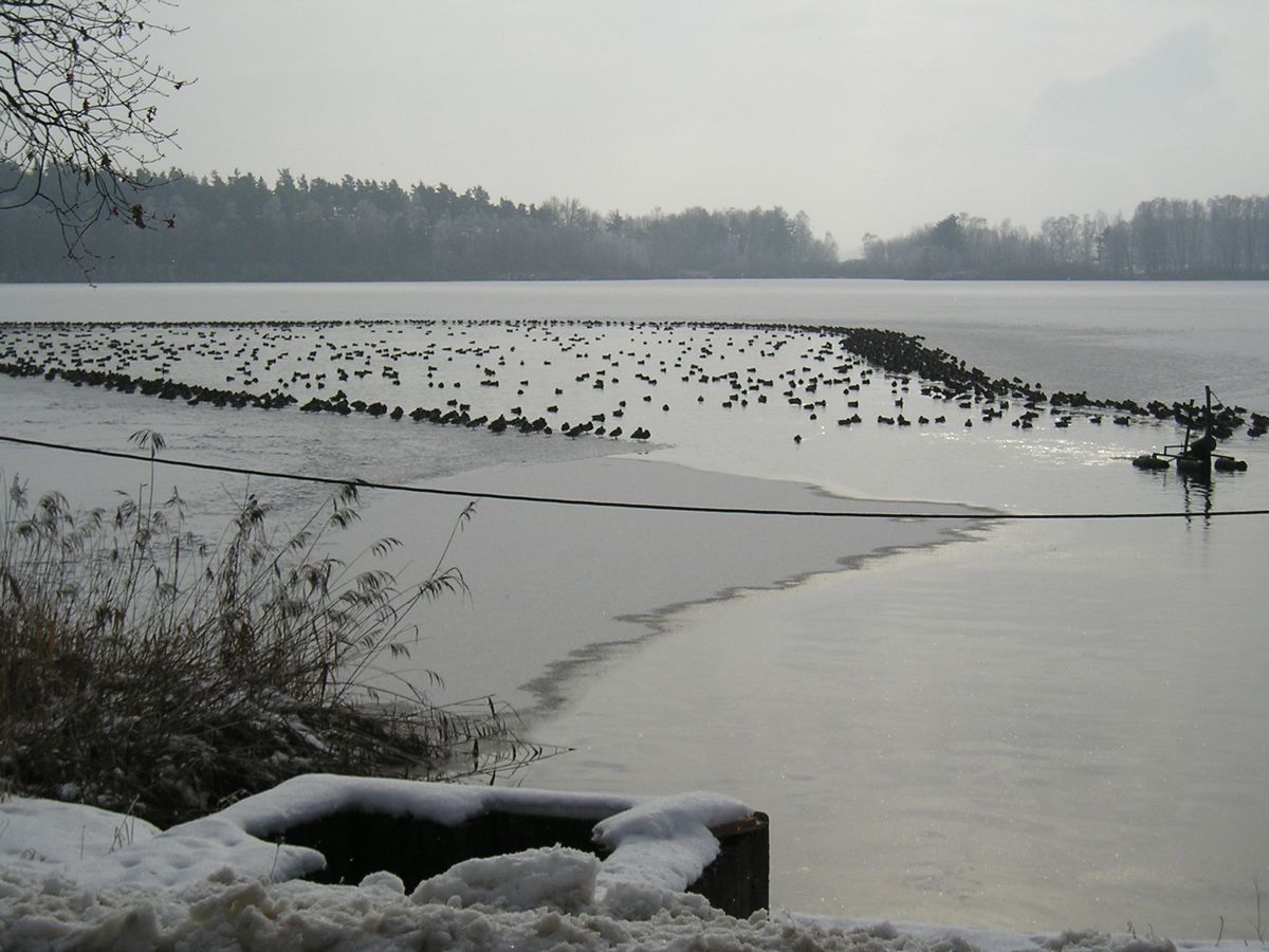 Zimní jezero