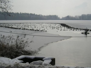 Dana Havlíčková - Zimní jezero