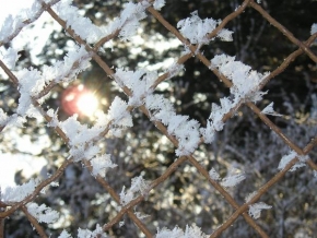 Královna zima - Pohled skrz plot