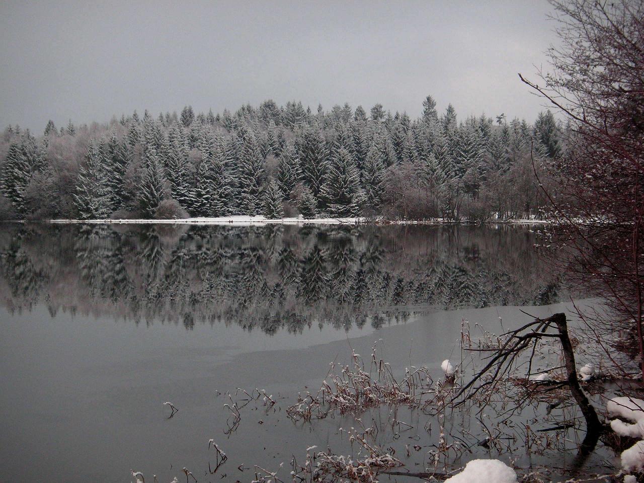 Zima na rybníku