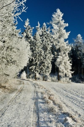 Martin Hansgut - Krása zimy II