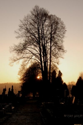 Po setmění - Hřbitovní...