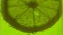 Citronek:P