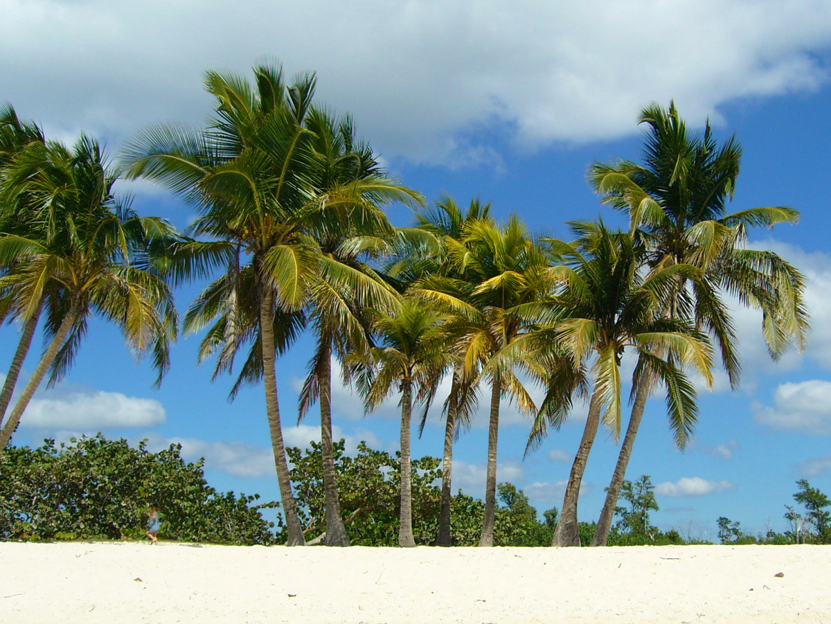 Pláž - Karibik