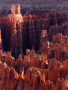 Simona Boarová - Bryce Canyon