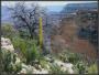 Grand Canyon 2005