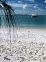 Jan Doubek - Whiteheaven Beach