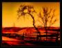 Like Gold West