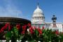 Capitol ve Washingtonu