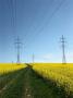Cesta k energii