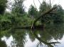 Fotograf roku v přírodě 2010 - Při plavbě
