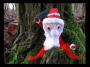 Santa v mechu