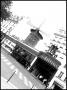 Pavlo Sherin - Moulin Rouge