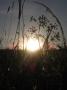 Sunset! :-)