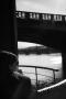 U Vltavy