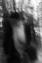 V lese