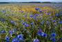 Provence u Chebu