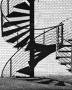 Marco Ceccaroni -Shadow