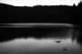 Černé jezero na šumavě