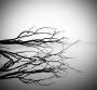 Filip Radosta -Silent