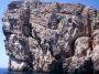 Kornati