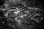 Tomáš Burian - Black water