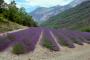 Provence 2.