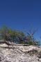 Grand Canyon – North Rim