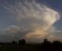 Cumulonimbus capilatus incus